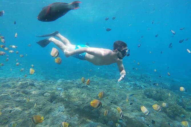 Bali Nusa Penida and Private Snorkeling (Manta Bay, Gamat, Wall) - Broken Beach, or Pasih Uug