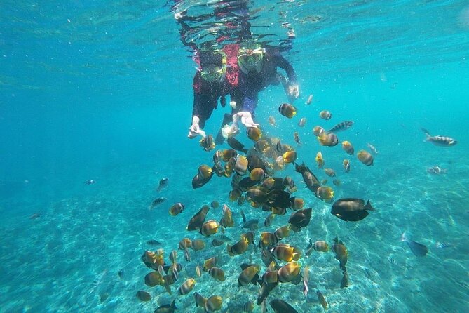 Bali Nusa Penida and Private Snorkeling (Manta Bay, Gamat, Wall) - Gamat Bay for coral, fish, and current