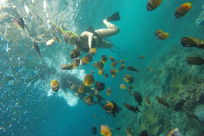 Bali Nusa Penida and Private Snorkeling (Manta Bay, Gamat, Wall) - Wall Bay Point and the final water stop