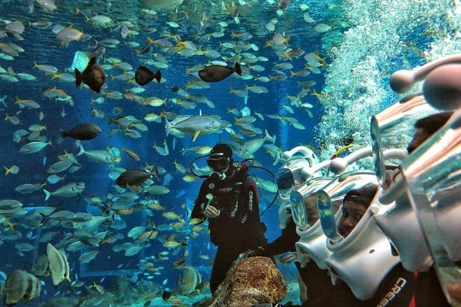 Bali Ocean Walker - Changing into swimwear and meeting the instructor