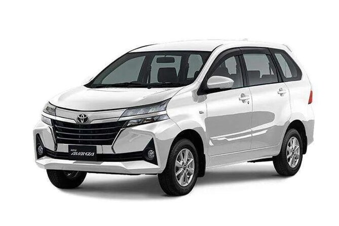 Bali Private Car Charter - Gembleng Falls and other longer outings