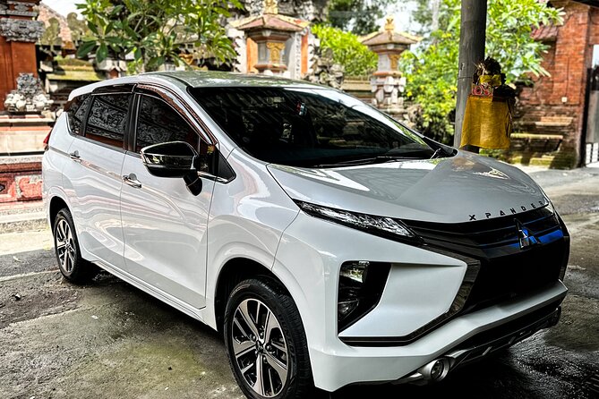 Bali Private Car Full Day Customized Tour With Drone Service - A private Bali day built around your priorities