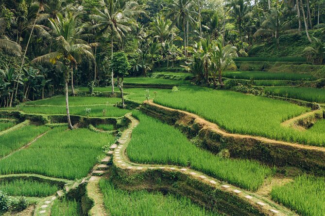 Bali Private Car Full Day Customized Tour With Drone Service - What is included, and what will cost extra