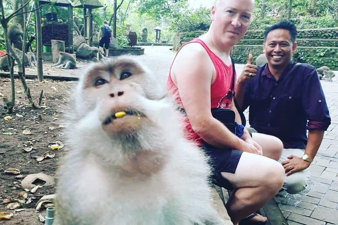 Bali Private Custom Tour - Bali Car Hire with Driver - Why a private driver makes sense in Bali