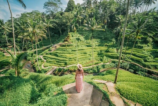 Bali Private Driver - Bali customized private tour - The vehicle, comfort, and group size