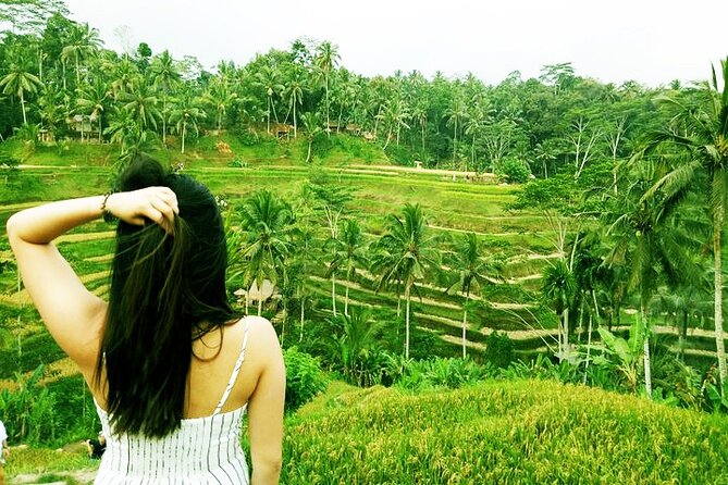 Bali Private inclusive tour: Best of Ubud in a Day - Monkey Forest offers a close look at Ubud’s wildlife
