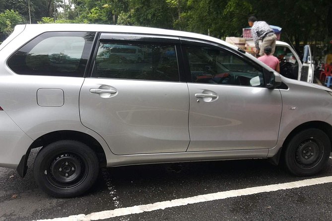 Bali Private Tour - Car with Driver - What the strongest praise tells you