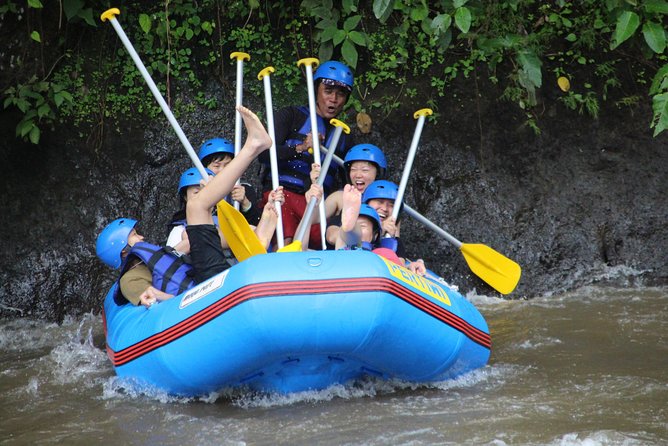 Bali Private Tour Guide And Driver - Private transport and the value of $32