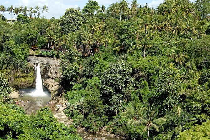 Bali Private Tour: Waterfall, Monkey forest and Tanah lot sunset - A full Bali day from Nusa Dua to Tanah Lot