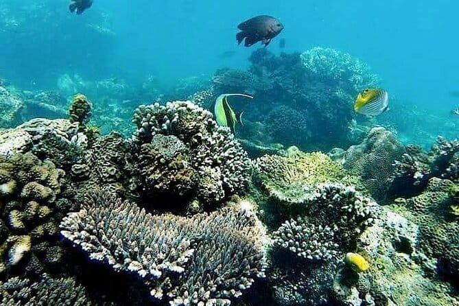 Bali Private Tour: Waterfall, Monkey forest and Tanah lot sunset - Is $56 per person good value?