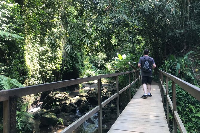 Bali Quad Adventure with Waterfall Tour - Tibumana’s short walk through the greenery