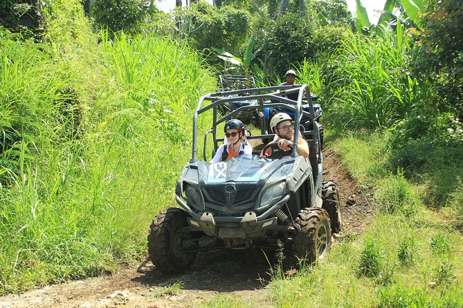Bali Quad and Buggy Discovery Tour, Including Round-Trip Transfer - What the day provides before and after the ride