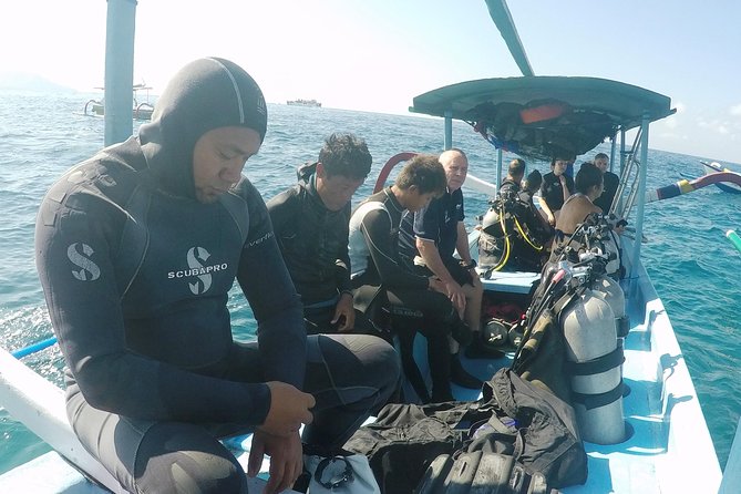 Bali Scuba Diving at Padang Bai for Certified Diver - Two boat sessions and Padang Bai’s changing scenery