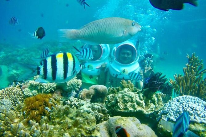 Bali Sea Walker - Key points to know before booking