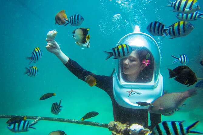 Bali Sea Walker Under Water Experience With Hotel Transfer - Your short underwater itinerary