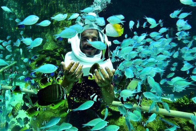Bali Sea Walker Under Water Experience With Hotel Transfer - Coral, fish, and the limits of the view