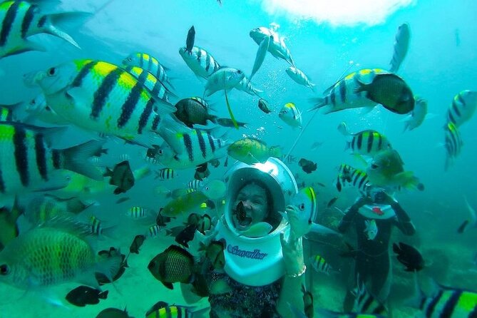 Bali Sea Walker Under Water Experience With Hotel Transfer - Safety equipment and professional supervision