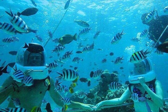 Bali Sea Walker Under Water Experience With Hotel Transfer - Is $32.50 a fair price?