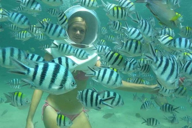 Bali Sea Walking Experience - The 25-Minute Seabed Walk