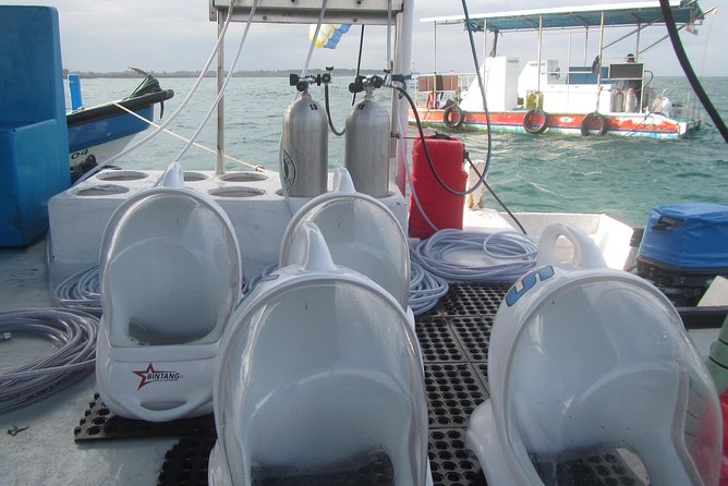 Bali Sea Walking Experience - Who Will Enjoy This Most?