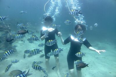Bali Seawalker