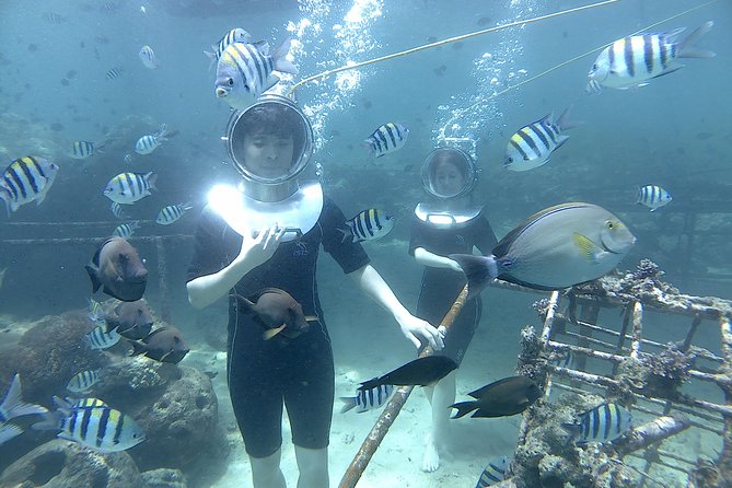 Bali Seawalker - Fish, coral, and the payoff below the surface