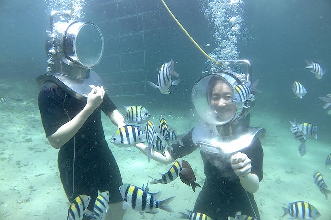 Bali Seawalker - Who should book this experience