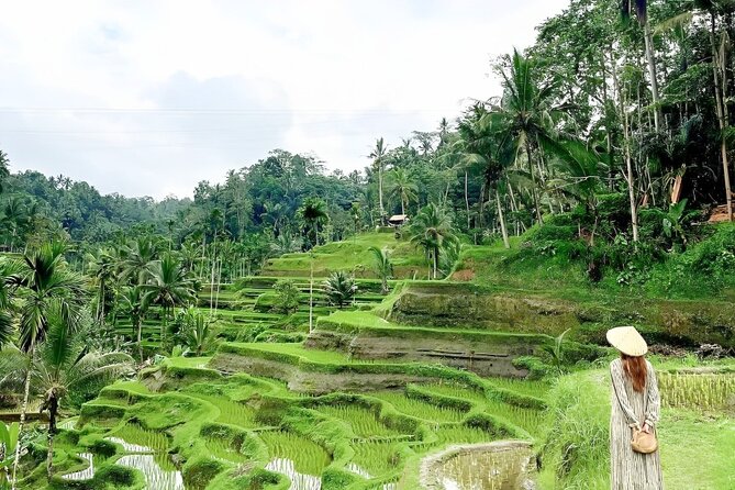 Bali Shore Excursions : Best of Bali Tour - Art, local sights, and room to adjust the route