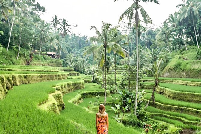 Bali Shore Excursions : Best of Bali Tour - What the $25 price really gives you