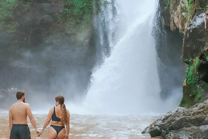Bali Shore Excursions : Best of Bali Tour - What the driver-guided format feels like