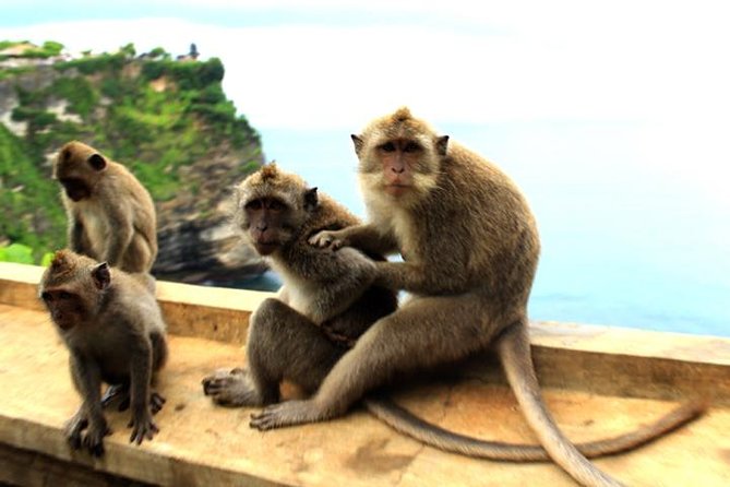 Bali Sunset: Uluwatu Temple, Kecak Dance and Jimbaran - Finding your place at the cliff