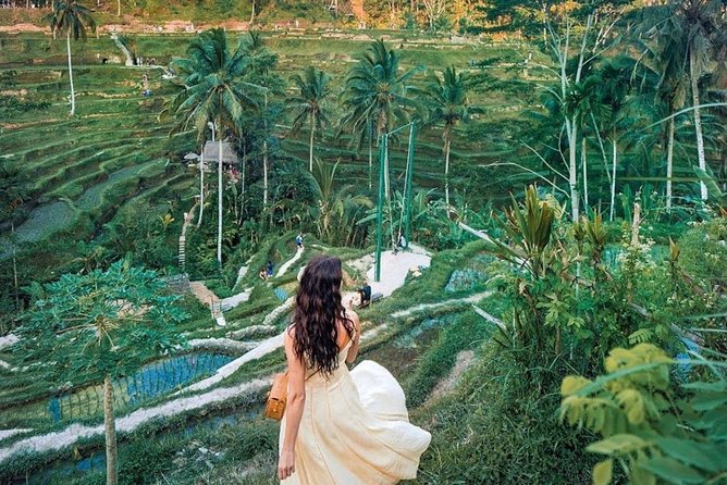 Bali Tour : Best Attractions in Ubud with Rice Terrace - One long day around Ubud