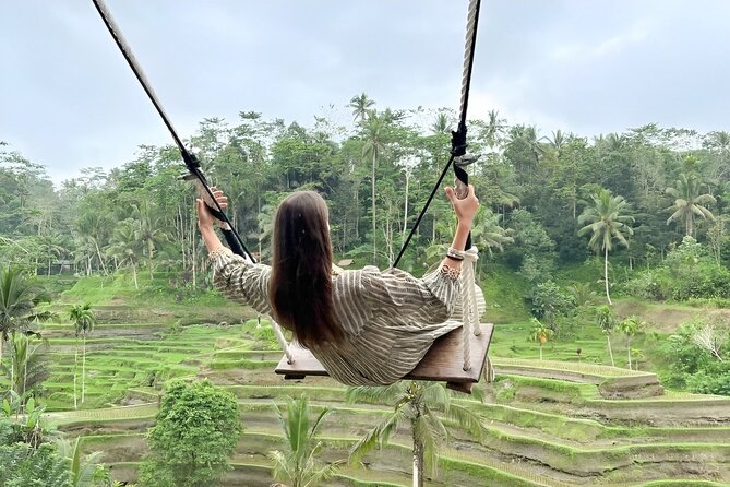 Bali Tour : Best Attractions in Ubud with Rice Terrace - Private car, guides, and the value of $25