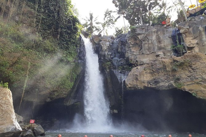 Bali Tour: Ubud Most Popular Place - Key things to know before booking