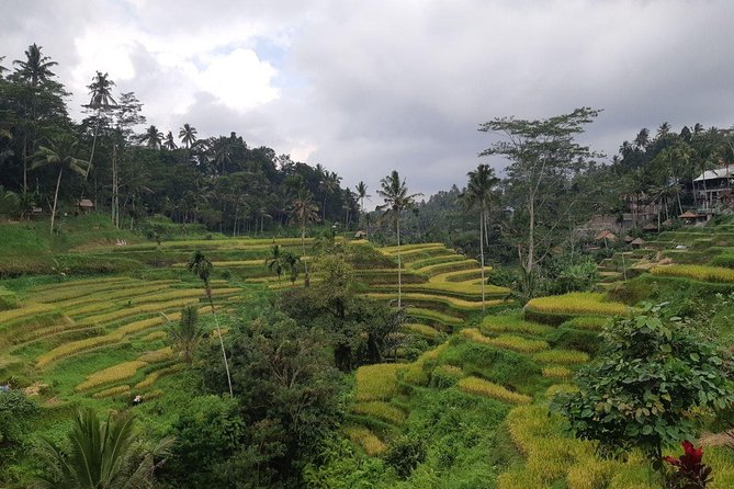 Bali Tour: Ubud Most Popular Place - Tegenungan Waterfall, your first look at Bali’s scenery