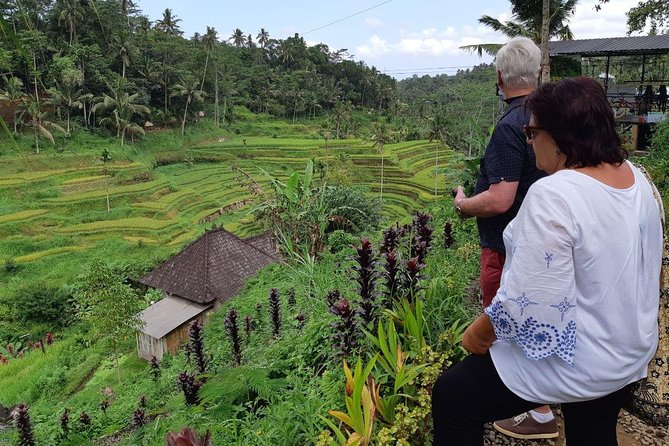 Bali Tour: Ubud Most Popular Place - Tegalalang Rice Terrace and the famous Bali photograph