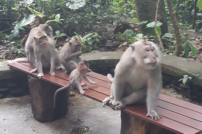 Bali Tour: Ubud Most Popular Place - Celuk Village and Bali’s silver and gold tradition