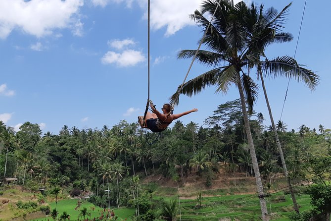 Bali Tour: Ubud Most Popular Place - What the $119 price really covers