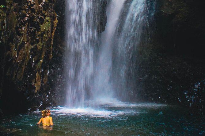 Bedugul and Singaraja Tour - Why this north Bali route is worth your time