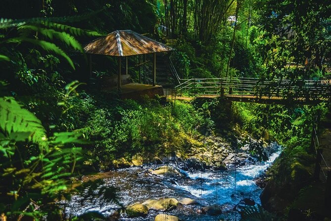 Bedugul and Singaraja Tour - Walking to Gitgit Waterfall