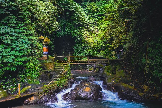 Bedugul and Singaraja Tour - Guides, vehicles, and the small-group experience