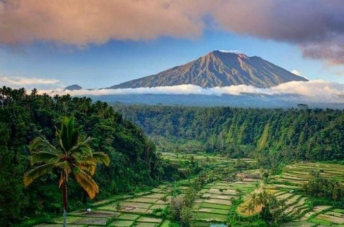 Best bali transport service - custom your own itinerary - How the driver service works in practice