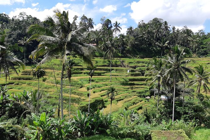 Best Bali Ubud Full Day All-Inclusive Private Tour - Batik at Sari Amerta and Silverwork in Celuk