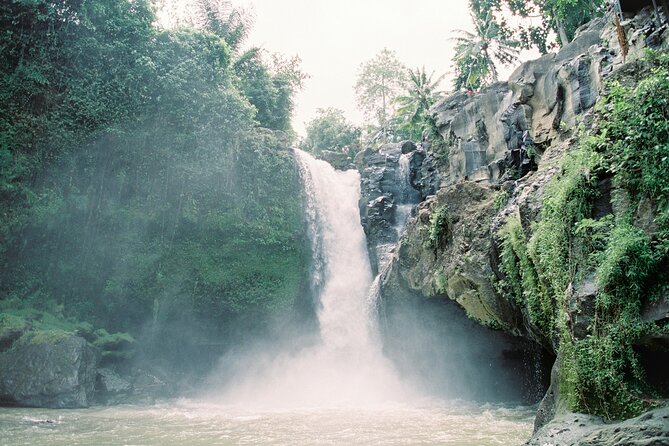 Best Day Tour - #1 Ubud Top Attraction - Why this route works from Nusa Dua