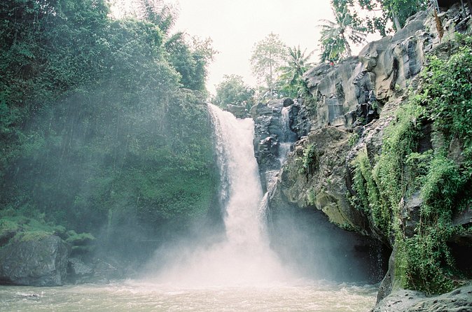 Best Day Tour - #1 Ubud Top Attraction - Sacred Monkey Forest Sanctuary, nature and caution