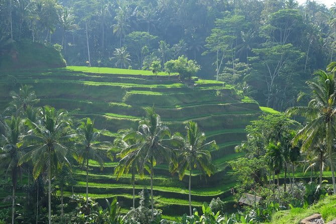 Best of Bali Private Shore Excursions - Gunung Kawi Sebatu and the sacred spring pools
