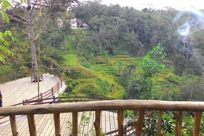 Best of Bali : Ubud, Rice terrace, Tanah lot temple with Lunch - What this $60 Bali tour is really trying to do