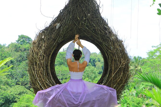 Best of Instagram Tour: Gate of Heaven, Tirta Gangga, Bali Swing - What the driver-guide adds