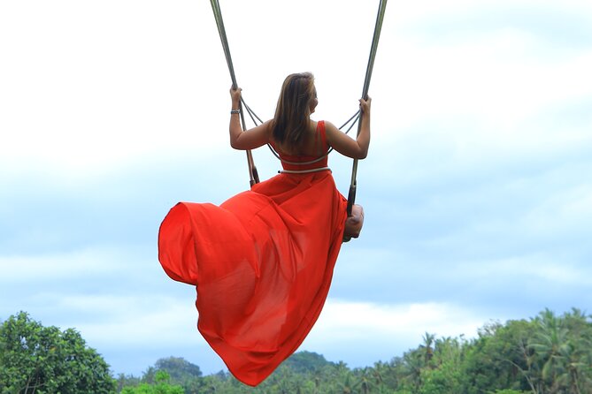 Best of Instagram Tour: Gate of Heaven, Tirta Gangga, Bali Swing - Who should book this experience?