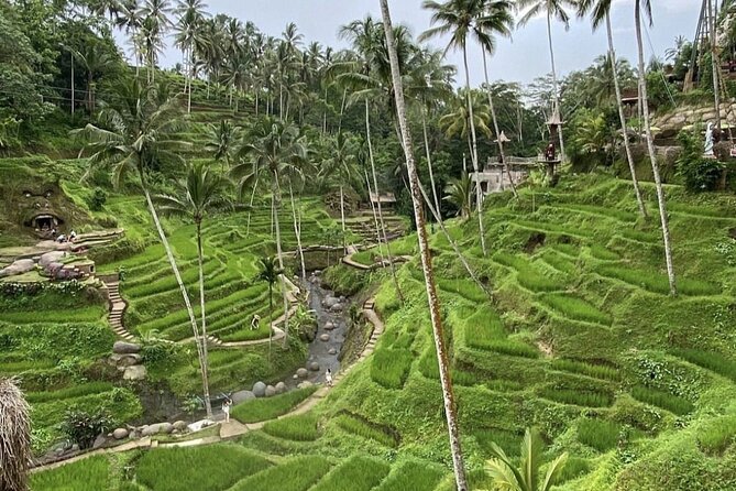 Best of Instagram Tour: Gate of Heaven, Tirta Gangga, Bali Swing - Is the $100 price fair?